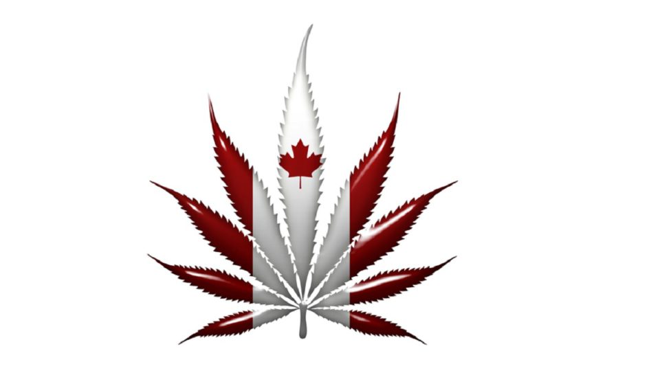 What Has Legalization Meant for Marijuana in Toronto