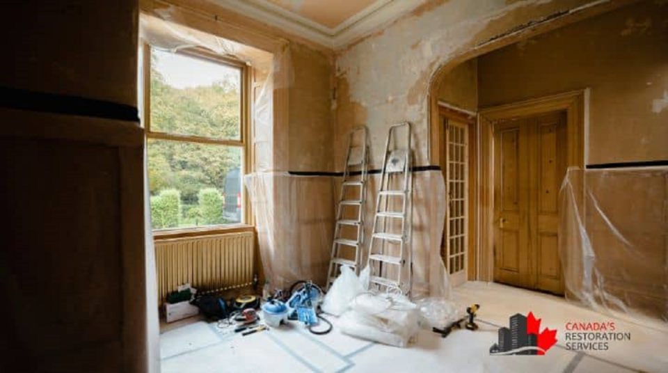 dont-let-mold-or-asbestos-surprise-your-during-renovation-season